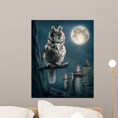 Owl shown on a wall