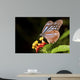 Butterfly Wall Mural