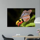 Butterfly Wall Mural