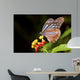 Butterfly Wall Mural