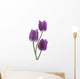 Tulip Wall Decal