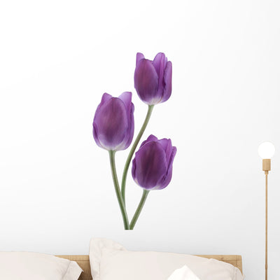 Tulip Wall Decal shown on a wall