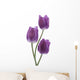 Tulip Wall Decal