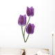 Tulip Wall Decal