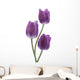 Tulip Wall Decal