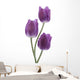 Tulip Wall Decal