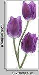 Tulip Wall Decal