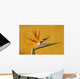 Bird of Paradise Wall Mural