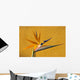 Bird of Paradise Wall Mural