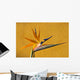 Bird of Paradise Wall Mural
