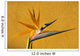 Bird of Paradise Wall Mural