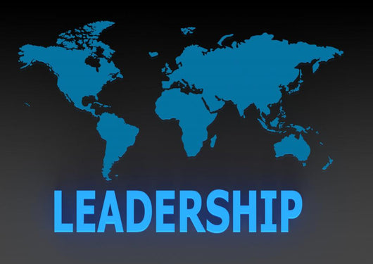 Global leadership Wall Mural