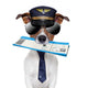 dog boarding pass Wall Decal