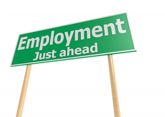 Street Sign With Employment Word Wall Decal