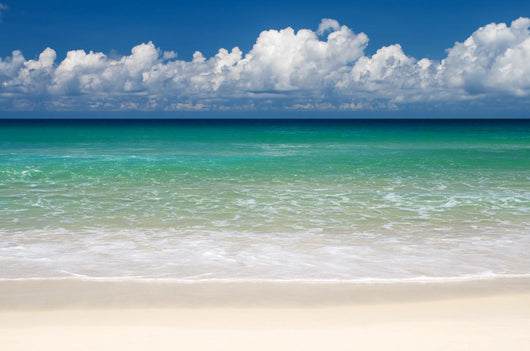 Tropical beach paradise Wall Mural