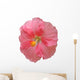 Hibiscus Wall Mural