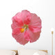 Hibiscus Wall Mural