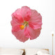 Hibiscus Wall Mural