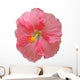 Hibiscus Wall Mural