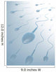 Clear Bottom Origin Sperms Wall Mural