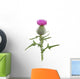 Thisle Wall Decal