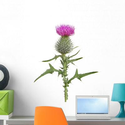 Thisle Wall Decal shown on a wall