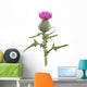 Thisle Wall Decal