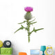 Thisle Wall Decal