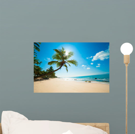 Tropical Beach