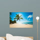 Tropical Beach