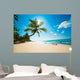 Tropical Beach