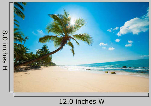 Tropical Beach