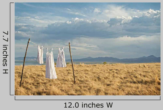 White Dresses Hanging Line