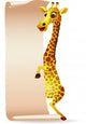 Giraffe with Blank Scroll Paper Wall Decal