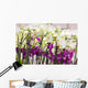 Orchid Wall Mural