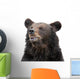 Bear Wall Decal
