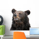 Bear Wall Decal