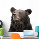 Bear Wall Decal