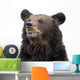 Bear Wall Decal