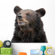 Bear Wall Decal