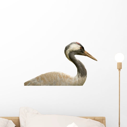 Isolated Common Crane Wall Decal