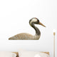 Isolated Common Crane Wall Decal