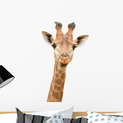 Giraffe Watching You Wall Decal shown on a wall