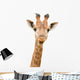 Giraffe Watching You Wall Decal