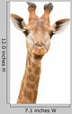 Giraffe Watching You Wall Decal