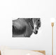 Zebras Wall Mural
