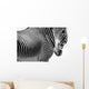 Zebras Wall Mural