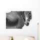 Zebras Wall Mural