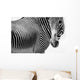 Zebras Wall Mural