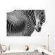 Zebras Wall Mural